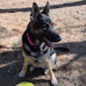 Meet your Posher, Cheryl